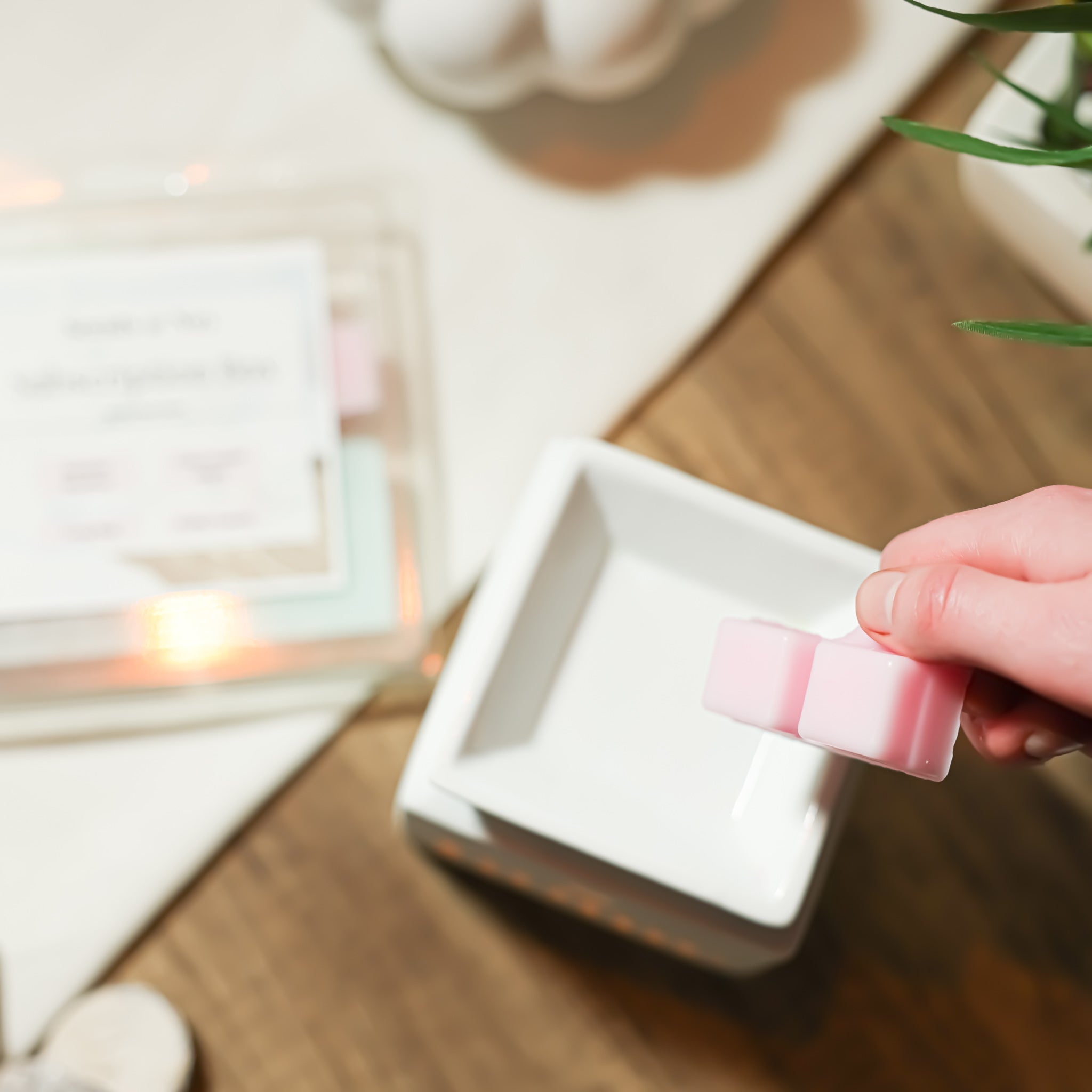 Let's Talk Scent Throw & Set Up's!!