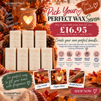 Pick Your Perfect Wax 7 - Most Popular