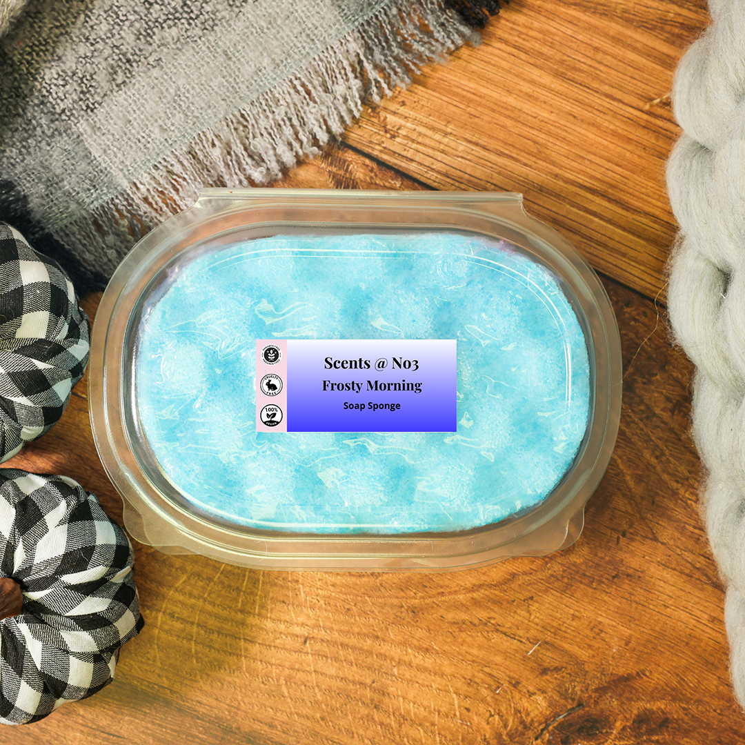 Frosty Morning Exfoliating Soap Sponge